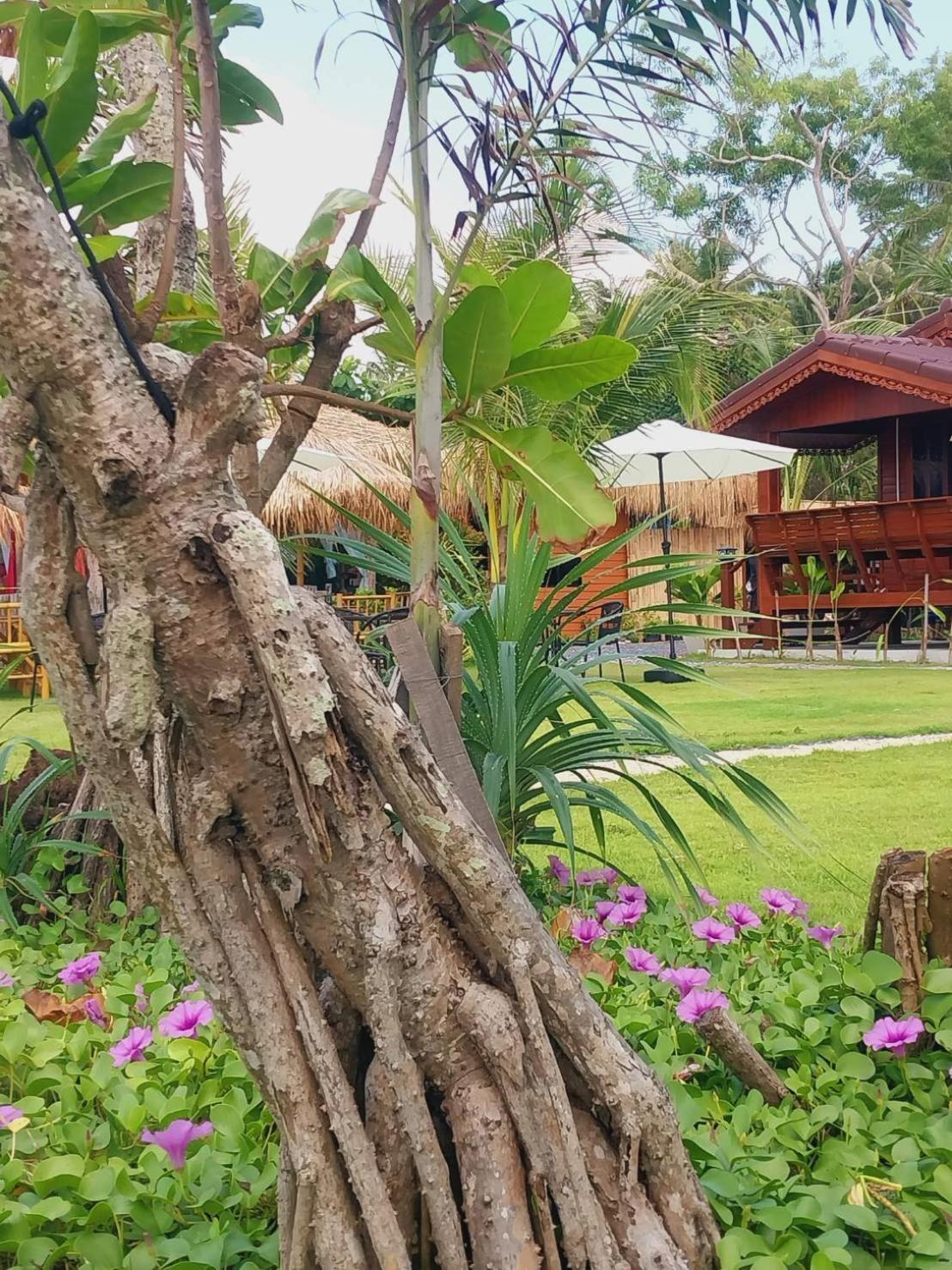 Walden Koh Lanta - Tiny Homes By The Sea Exterior foto